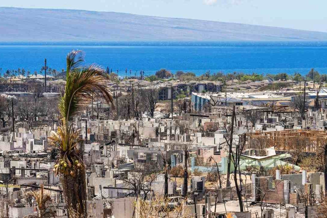 Cifra de Muertos por Devastadores Incendios en Hawái Asciende a 114