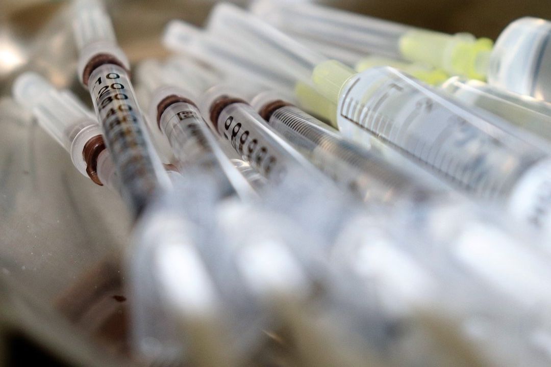 Gripe Aviar: Vacunas contra Virus de la Influenza H5N1 y H7N9 Resultan Eficaces en Países Bajos