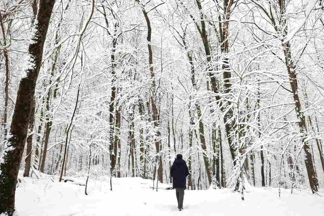 Nueva York, EUA, registró su mayor nevada de este invierno el 28 de febrero de 2023