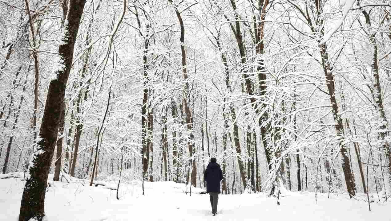 Nueva York, EUA, registró su mayor nevada de este invierno el 28 de febrero de 2023