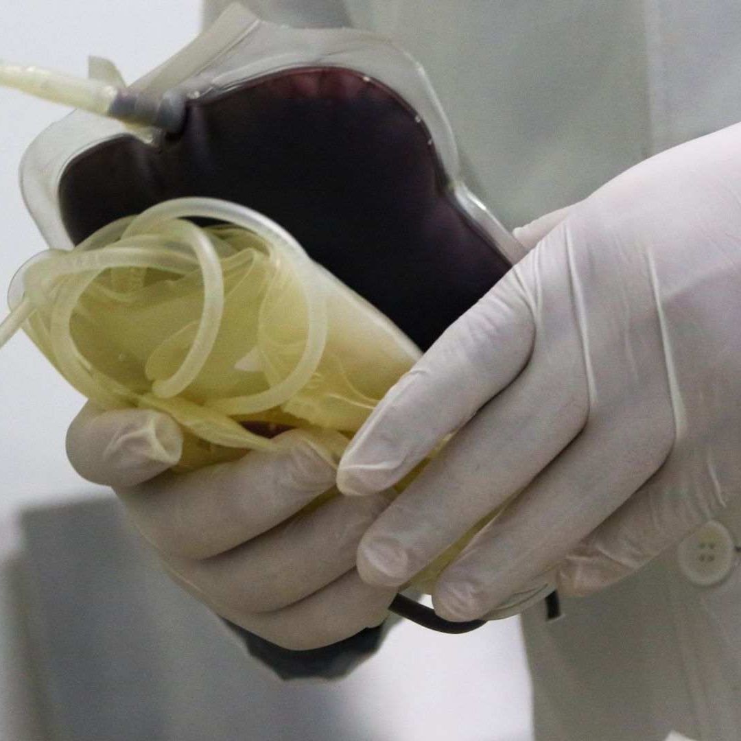 Donación de sangre