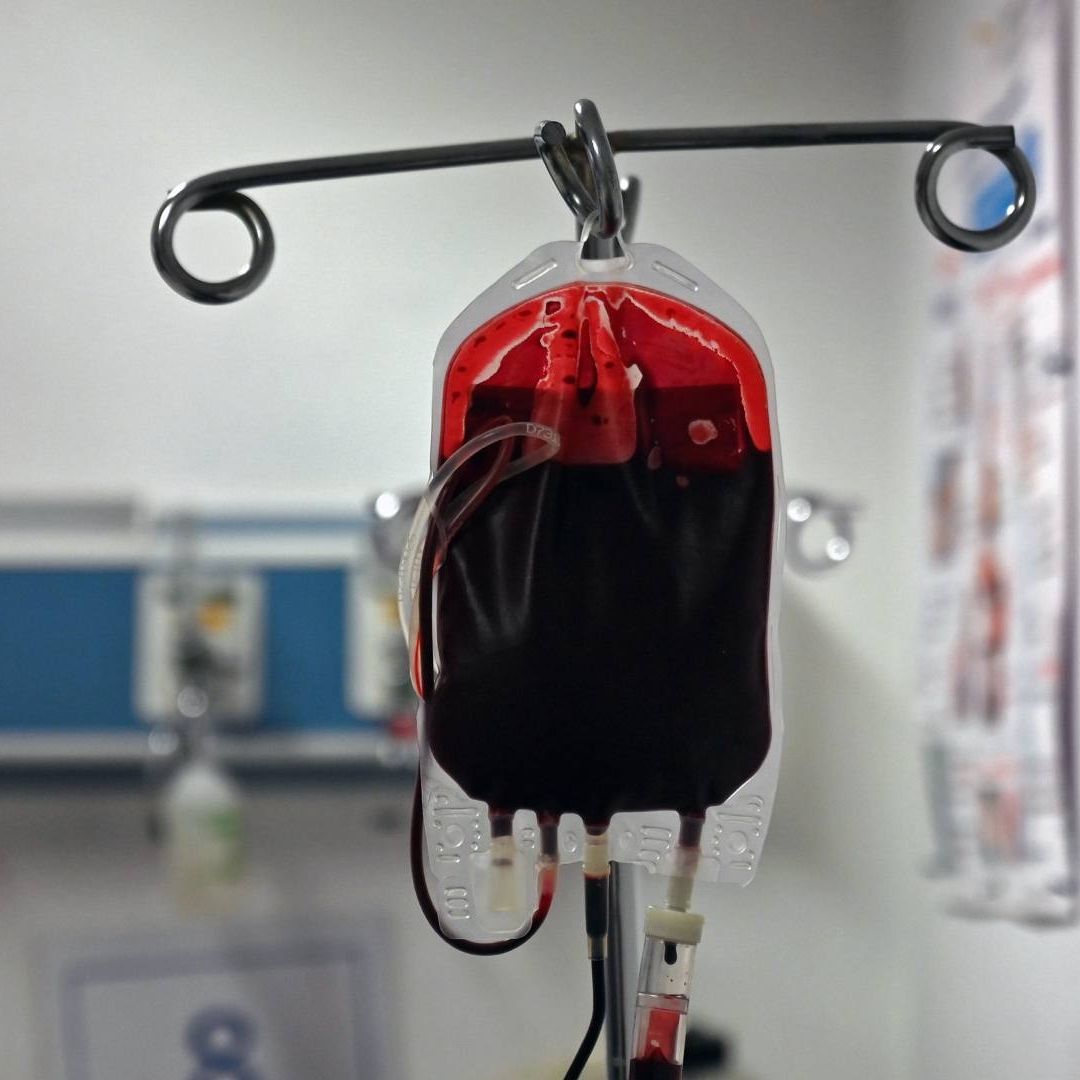 En Nueva Zelanda, los padres de un menor se niegan a que reciba una transfusión de sangre
