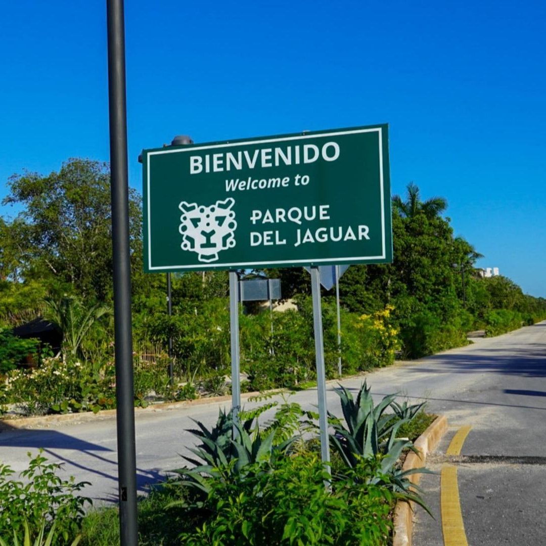 Profeco Suspende Hoteles en Tulum por Abusos contra Consumidores; Halla Tacos de hasta 400 Pesos