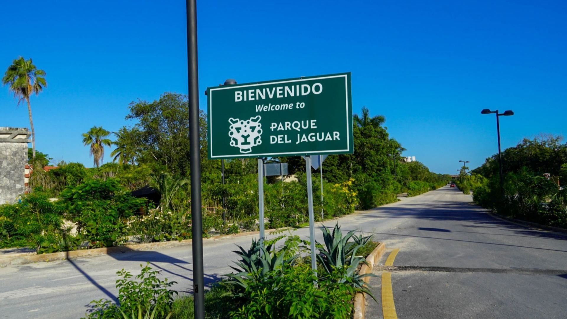 Profeco Suspende Hoteles en Tulum por Abusos contra Consumidores; Halla Tacos de hasta 400 Pesos