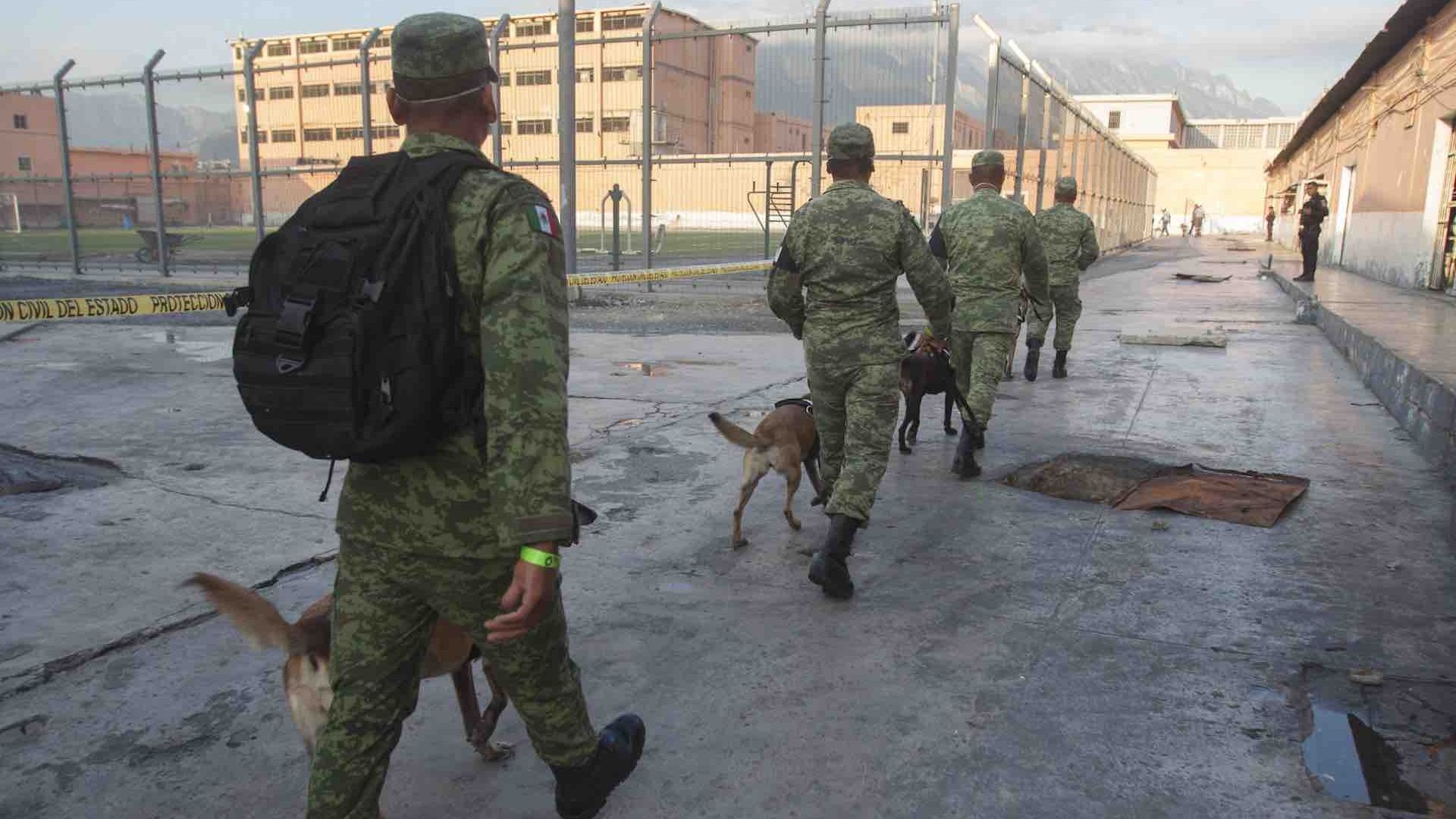 Estos son los perros rescatistas mexicanos que volaron a Turquía para ayudar en labores de búsqueda