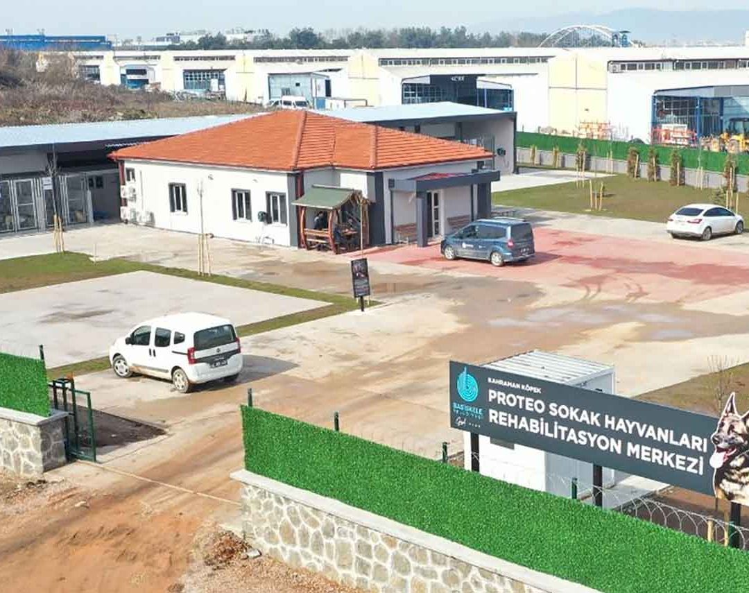 Nombran 'Proteo' a refugio para perros en Turquía