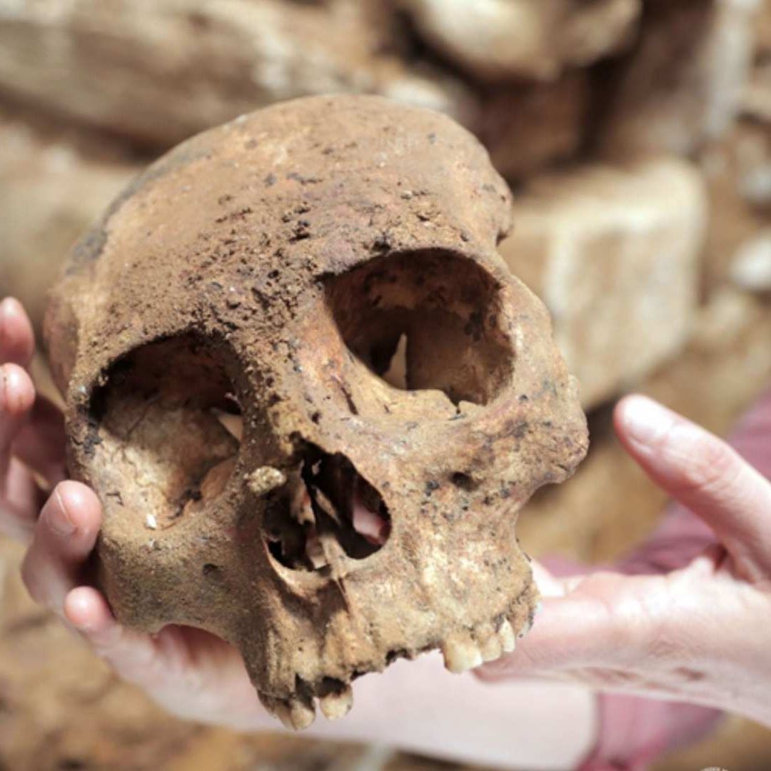 Hallan Cámara Funeraria Maya en Palenque, Chiapas