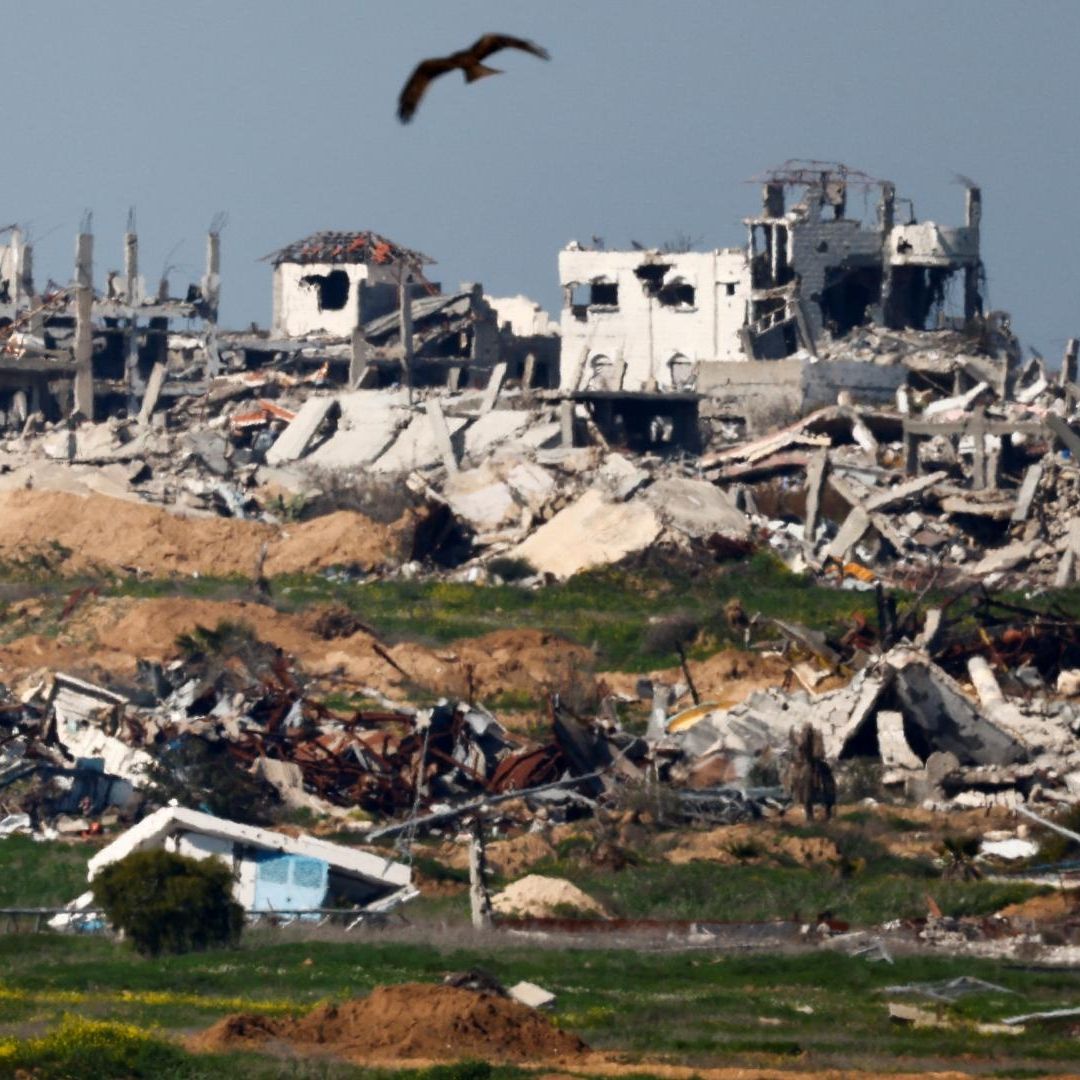 Un pájaro vuela sobre edificios destruidos en el norte de Gaza, en medio de un alto el fuego entre Israel y Hamás.