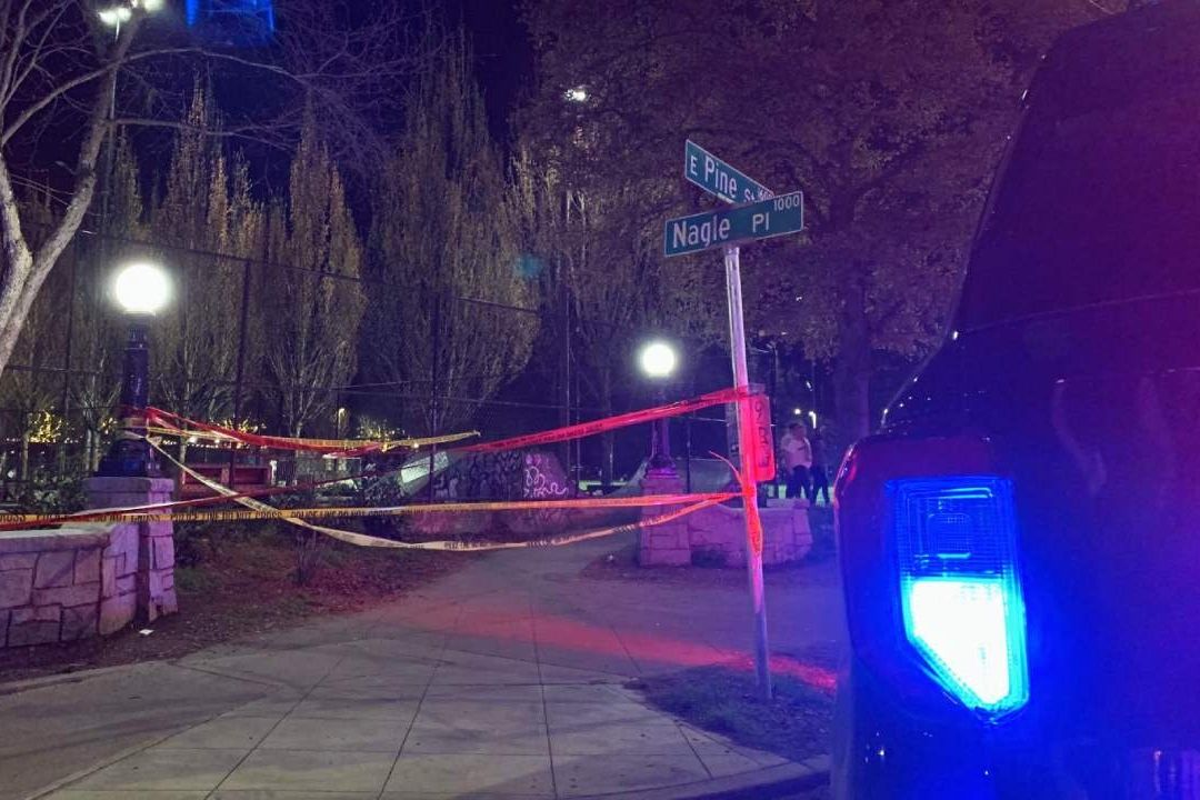 Tiroteo en Parque de Seattle Deja Dos Muertos y Un Herido