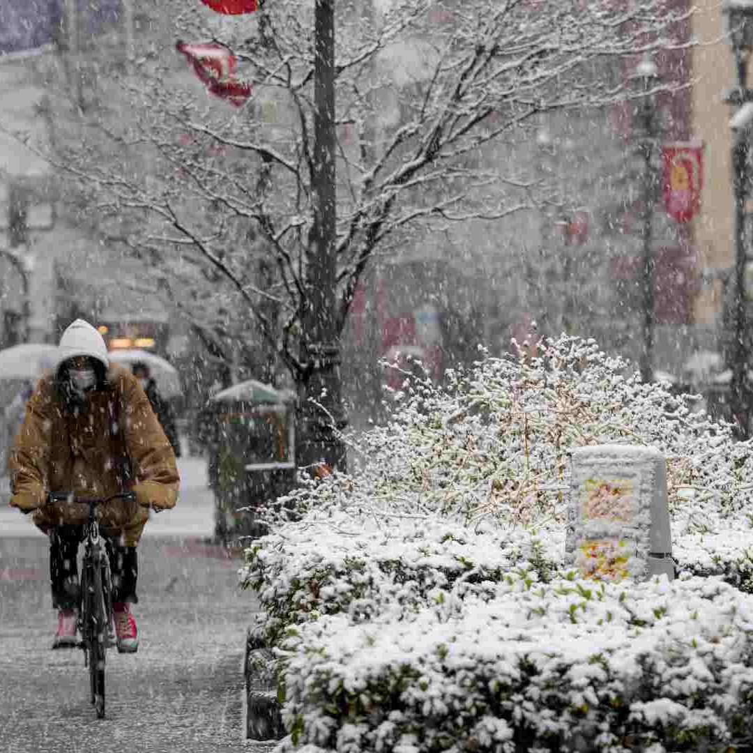 Japón, en Alerta Ante Mayor Ola de Frío en una Década