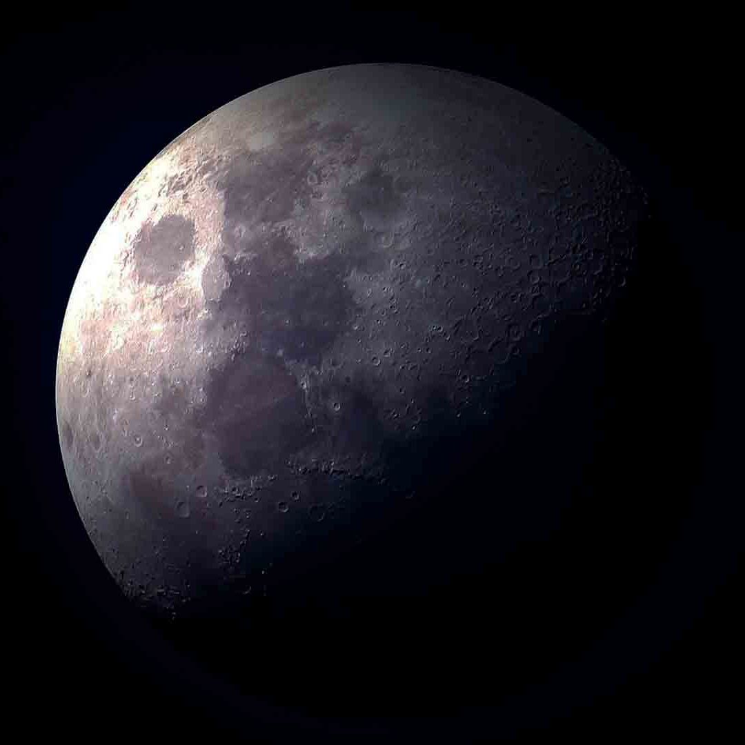 Yusaku Maezawa presentó a la tripulación que lo acompañará en un viaje alrededor de la luna