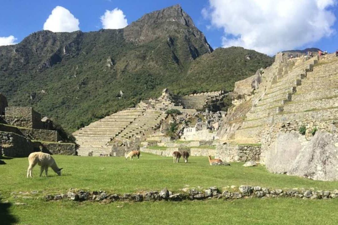 Aparece placa de oro de Machu Picchu que estaba perdida