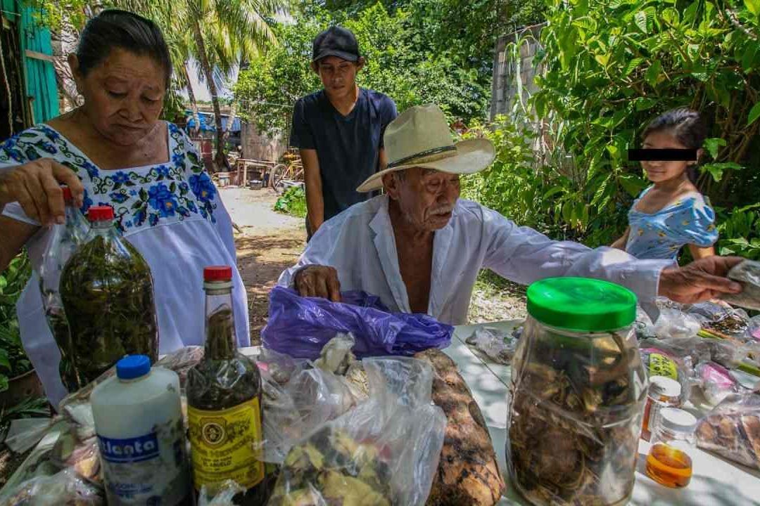 Niños Mayas Mexicanos, más Altos y con Sobrepeso por Dieta