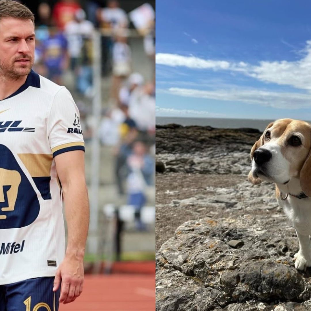 El futbolista Aaron Ramsey y su perro "Halo" llevan 10 años juntos.