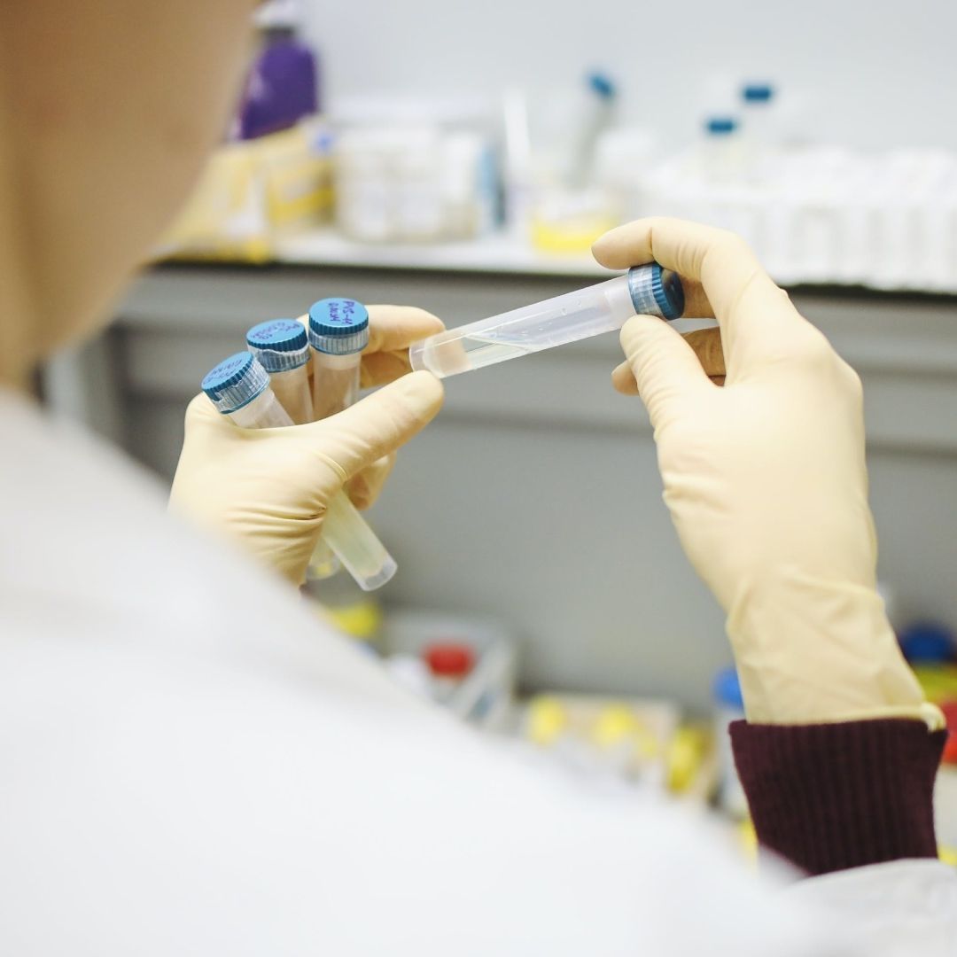 Detectan el Primer Caso de la Contagiosa Variante Pirola de Covid-19 en México