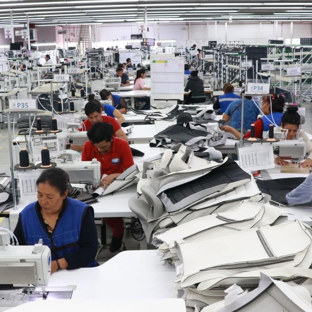 OCDE Revisa al Alza Crecimiento Mundial; ¿Cuál Es la Estimación para México?