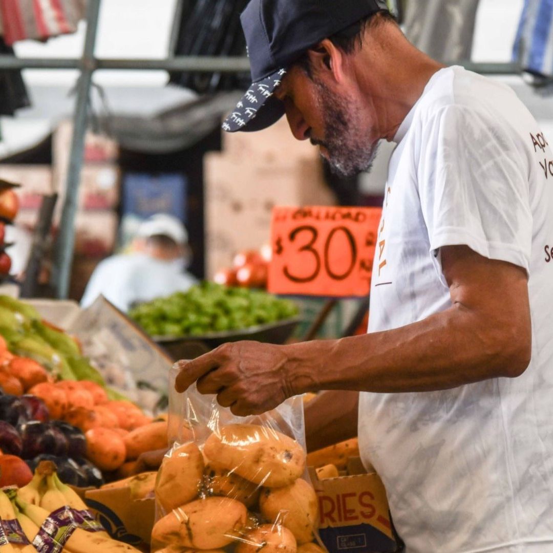 Economía en México Crecería 2% en 2024 Según Informe de la OCDE