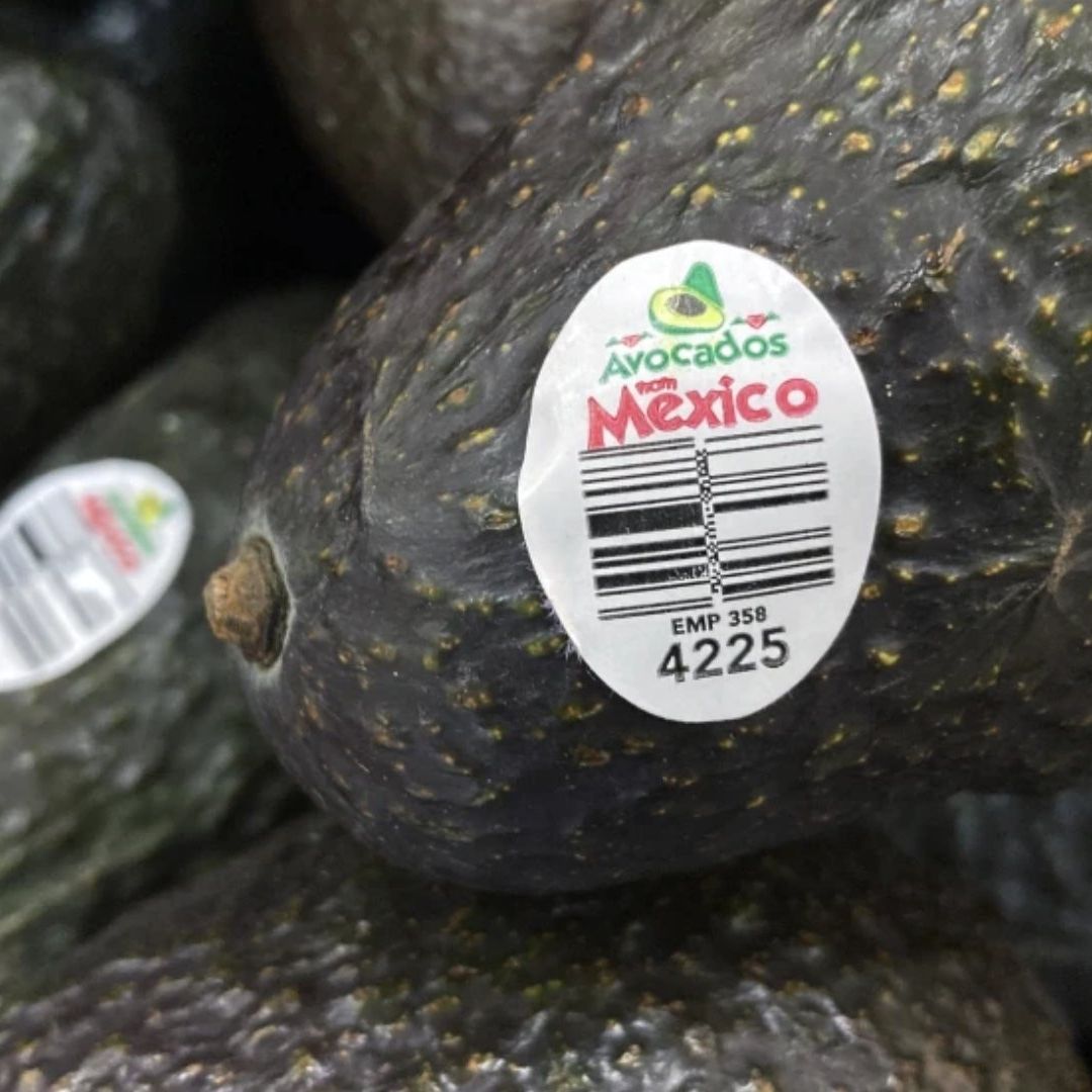 Aguacates de México están a la venta en una tienda de Nueva Jersey, Estados Unidos