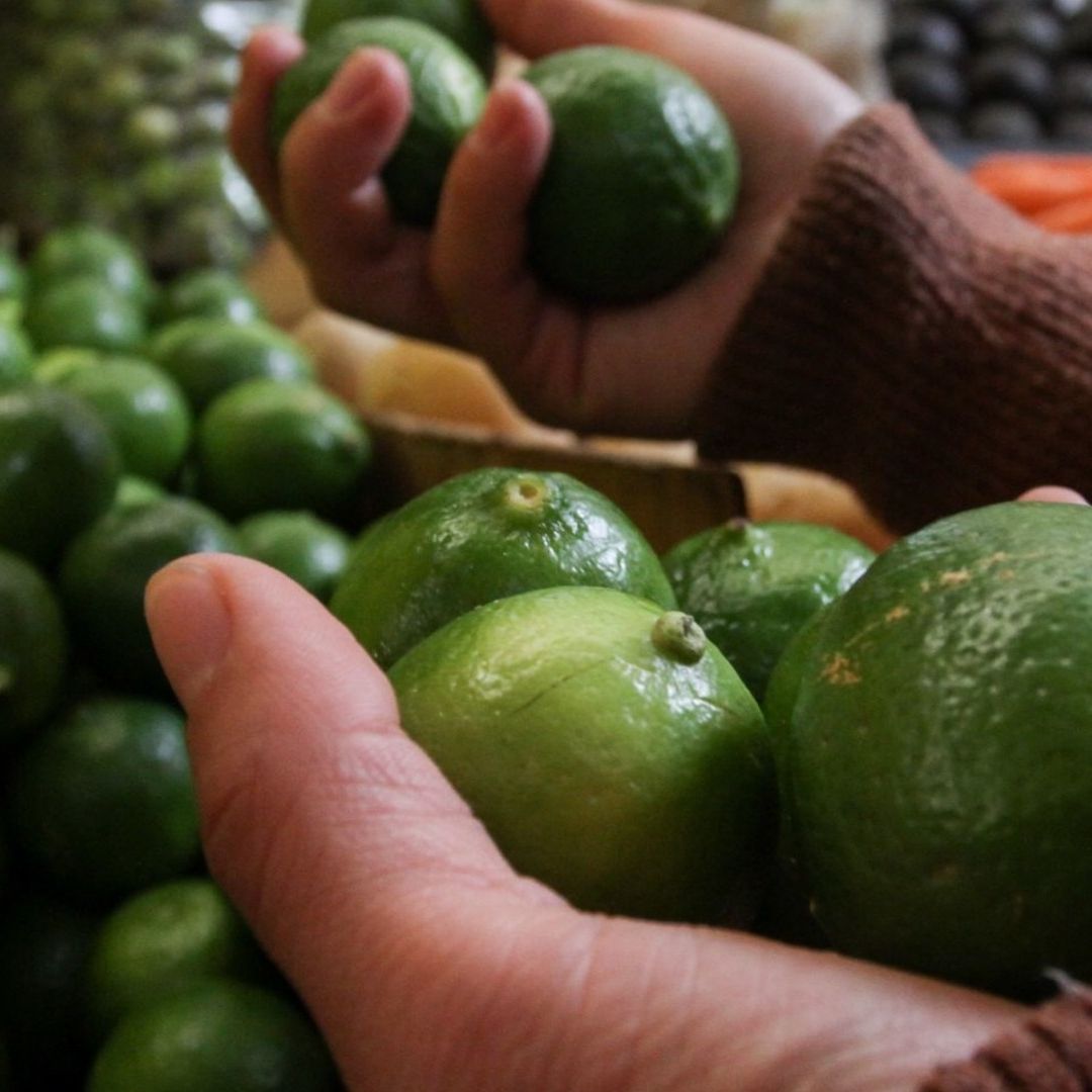 El paro de limoneros de Tierra Caliente, Michoacán, por el cobro de piso del crimen organizado, alcanza hasta el 80 por ciento de las empacadoras