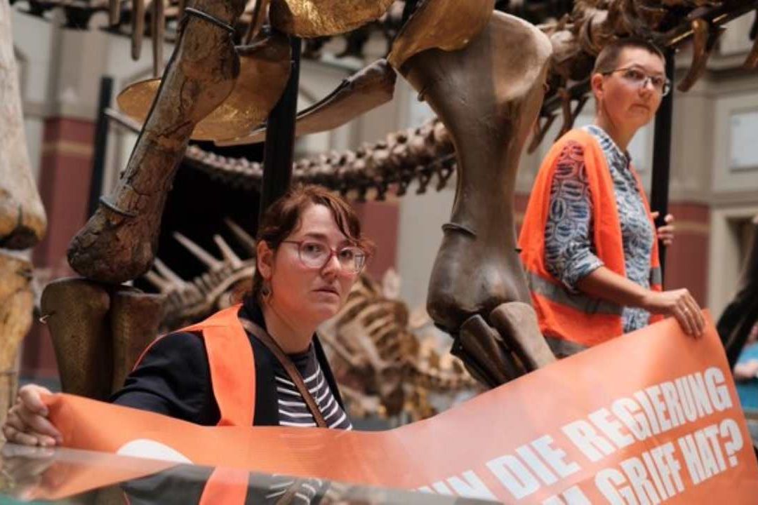 Ambientalistas Pegan a Esqueleto de Dinosaurio