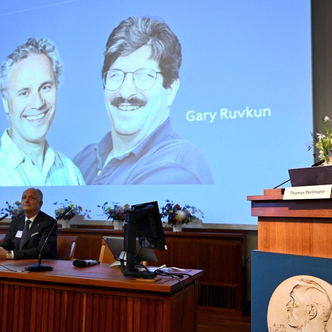 Estadounidenses Ganan el Nobel de Medicina 2024 por Descubrimiento del MicroARN