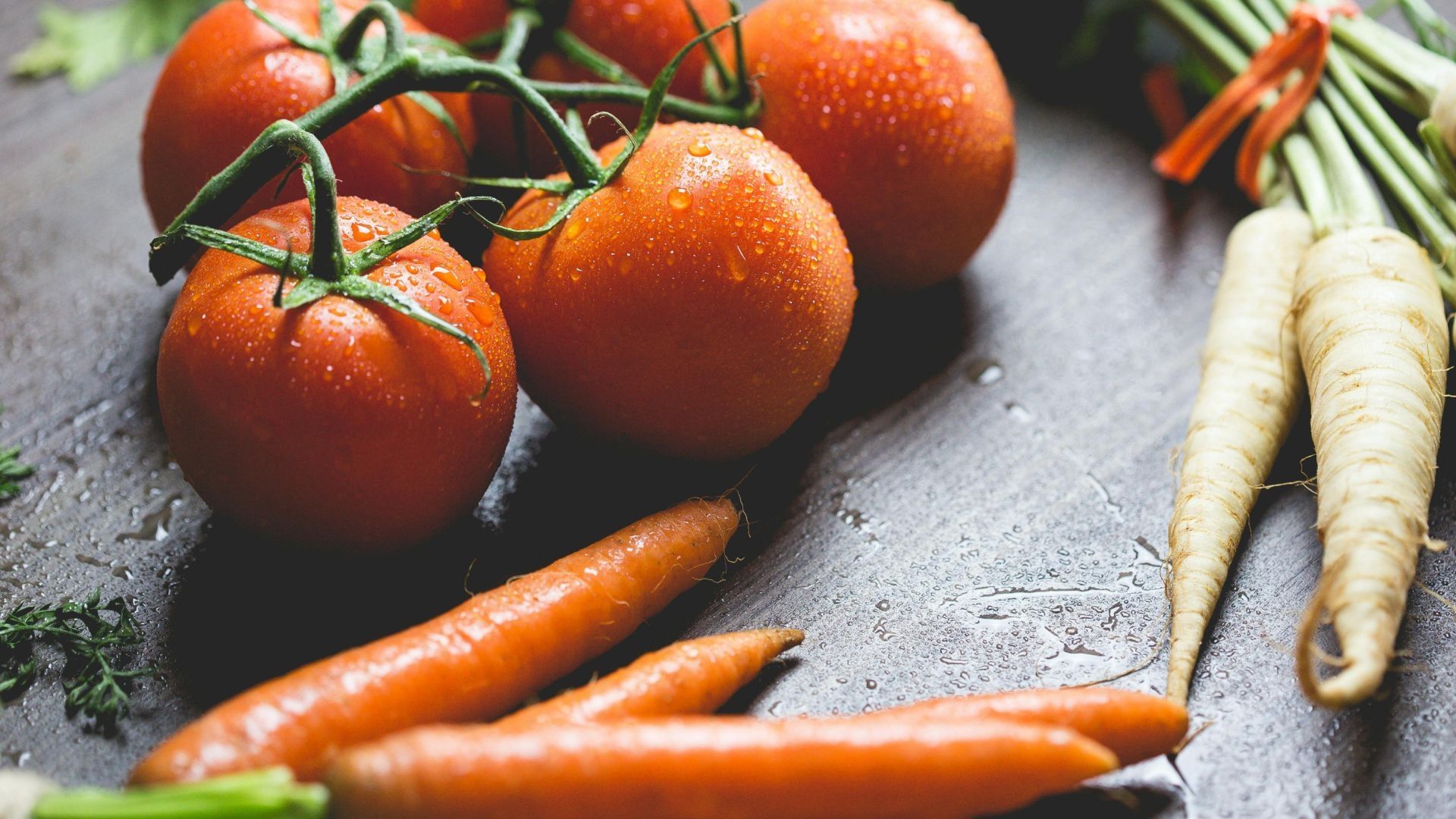 30 Frases para Conmemorar el 16 de Octubre de 2024, Día Mundial de la Alimentación