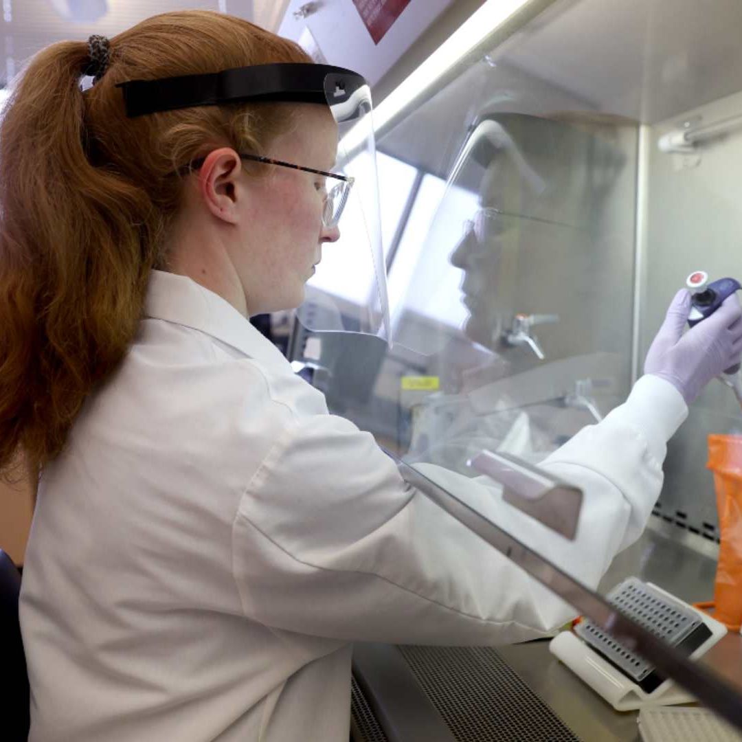 Hospitales infantiles de EU registran severo aumento de contagios de virus respiratorio sincitial