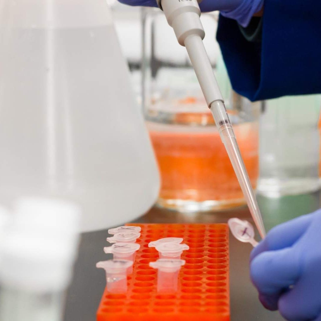 Tubos de ensayo son llenados en un laboratorio