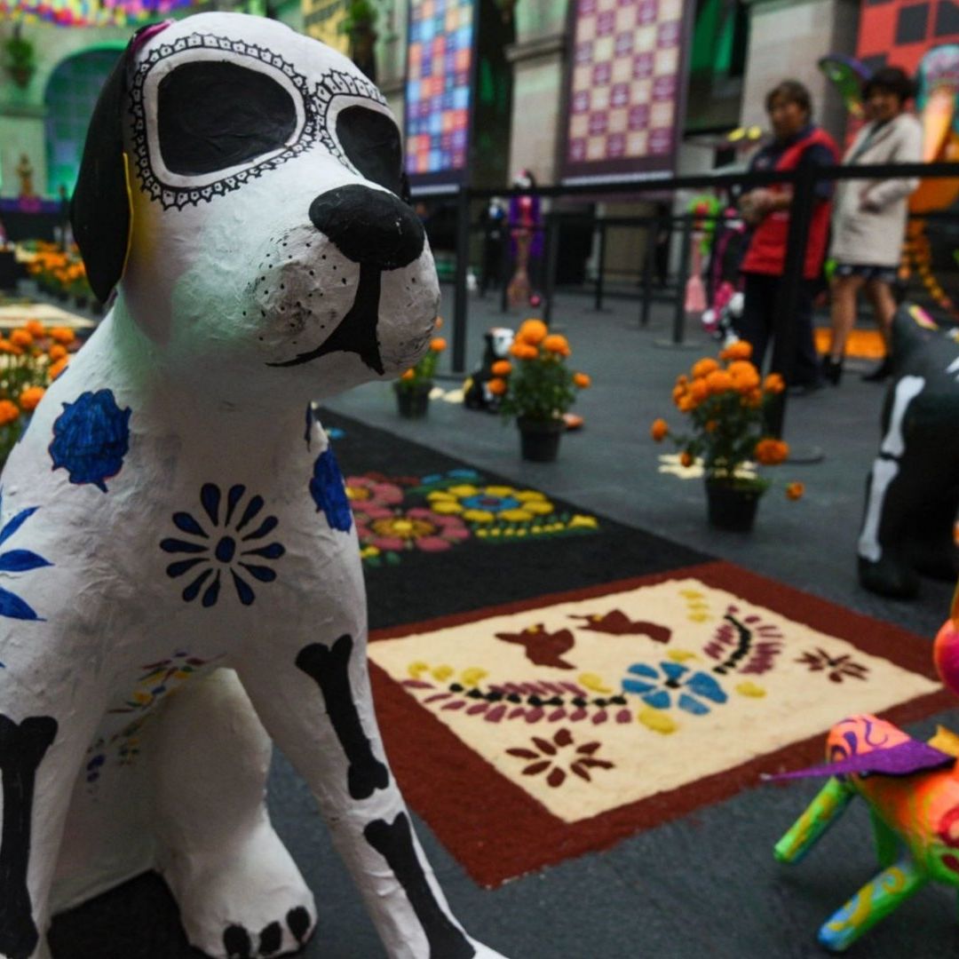 A qué hora llegan las mascotas difuntas el 27 de octubre por el Día de Muertos 2024