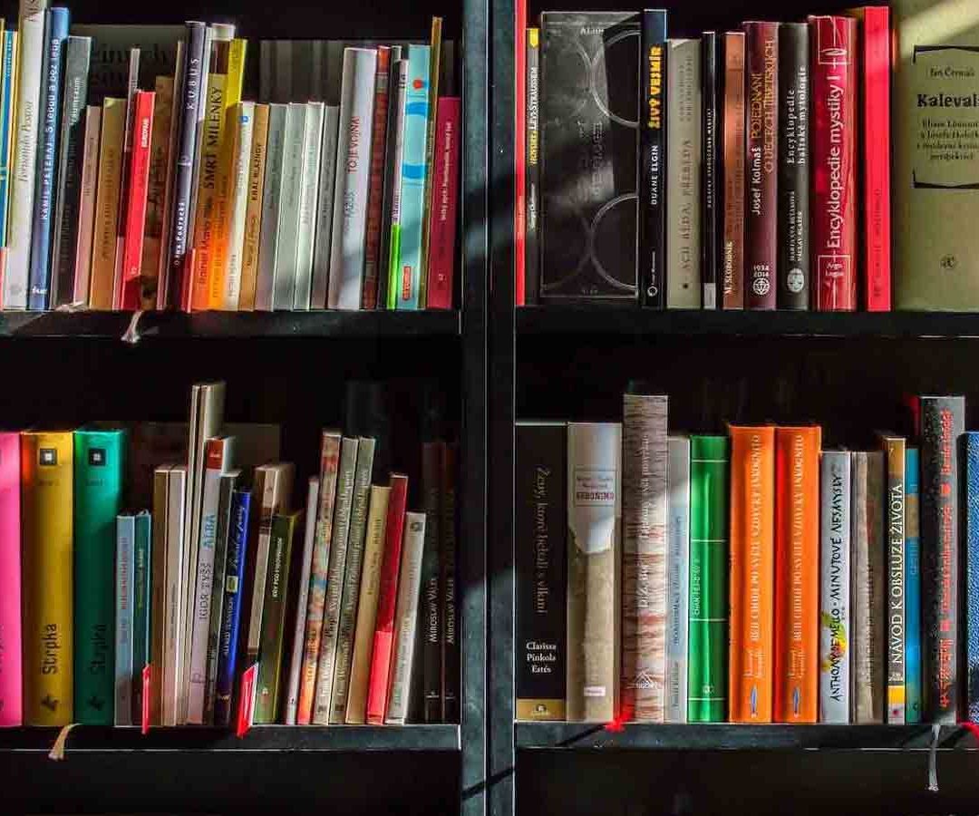 Presentamos una lista con los mejores libros del 2022