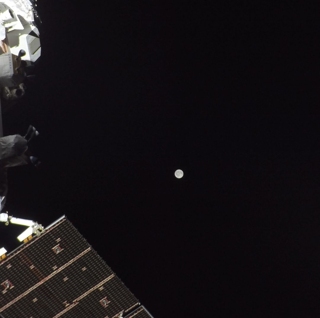 Astronautas de Artemis II Han Recorrido Ya la Mitad del Camino Hacia la Luna