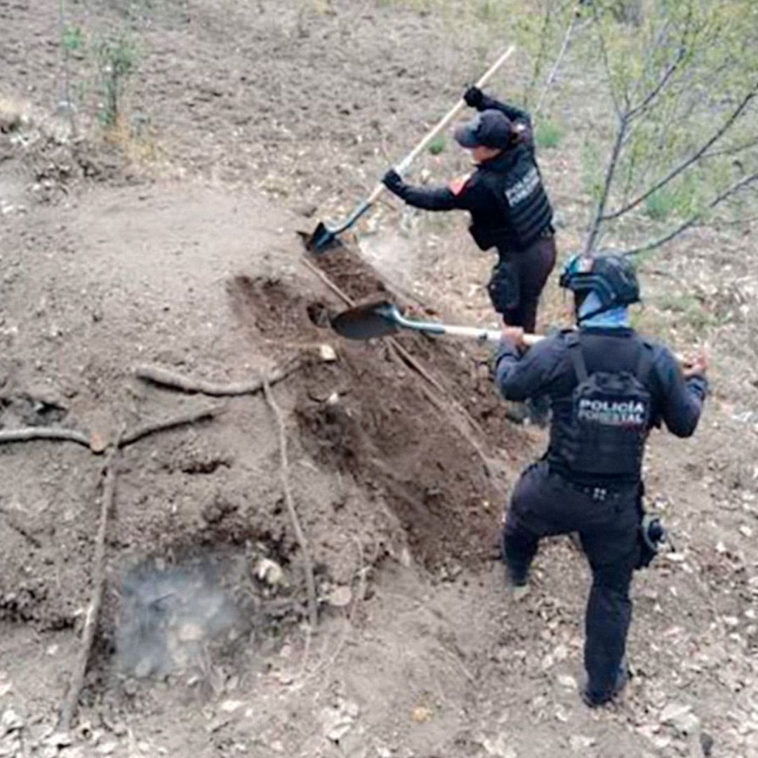 Eliminados Seis Hornos Clandestinos Deshidratación Madera Santiago Xalitzintla Puebla