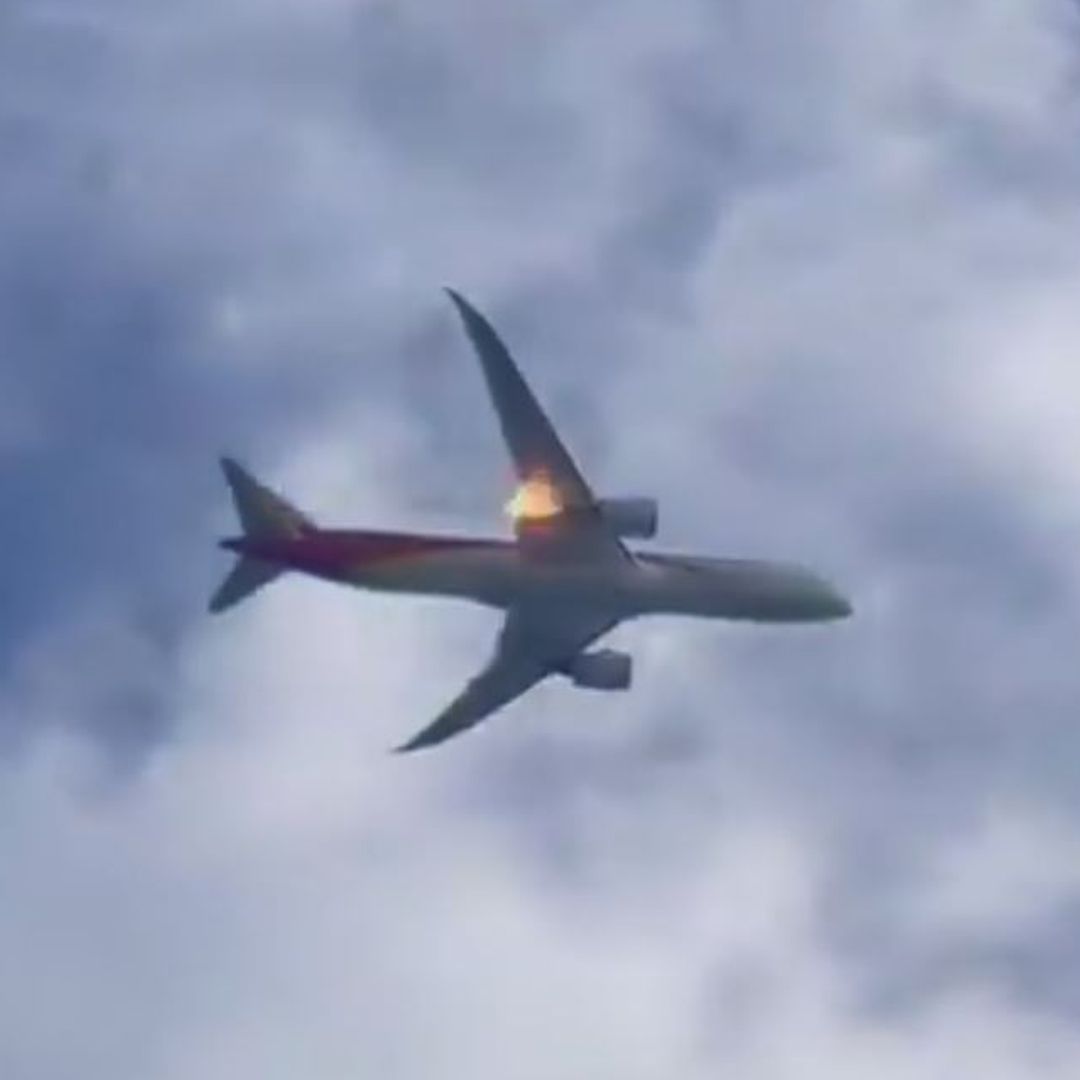 Momento en que se incendia el motor del avión después de que un pájaro chocó con la aeronave
