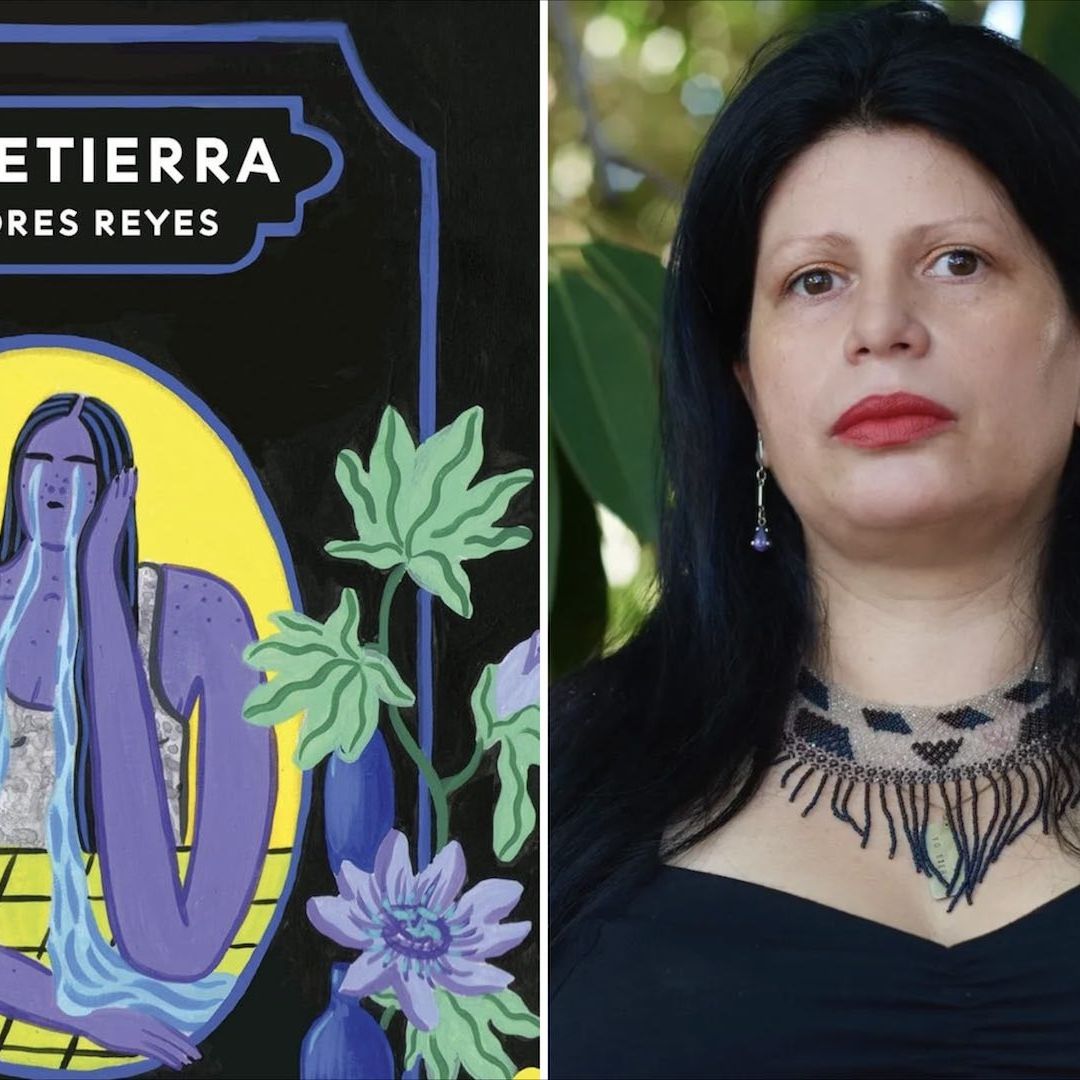 Buscan censurar novela sobre los feminicidios
