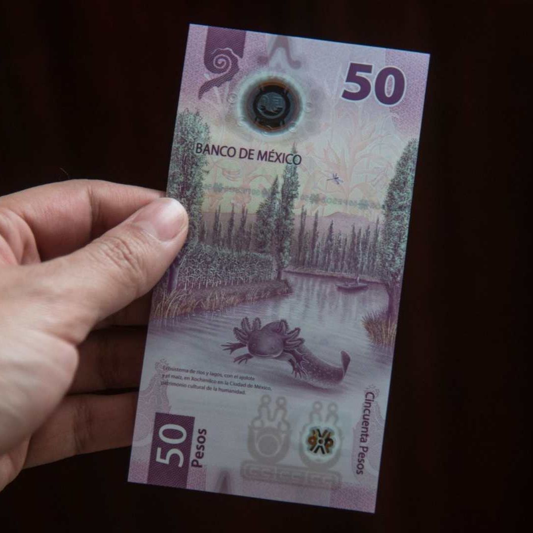 ¿Por qué el peso está tan fuerte frente al dólar?