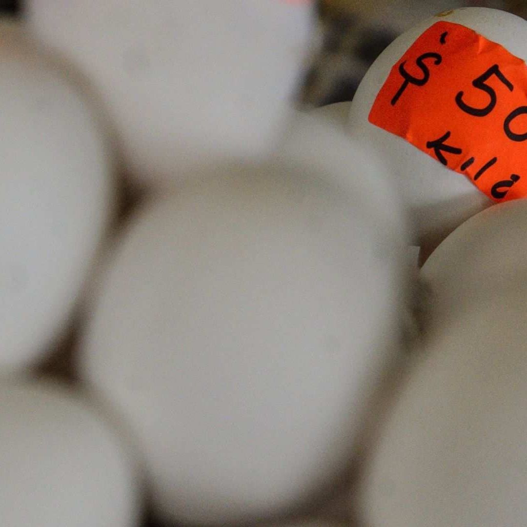 Estados con el precio del huevo más alto