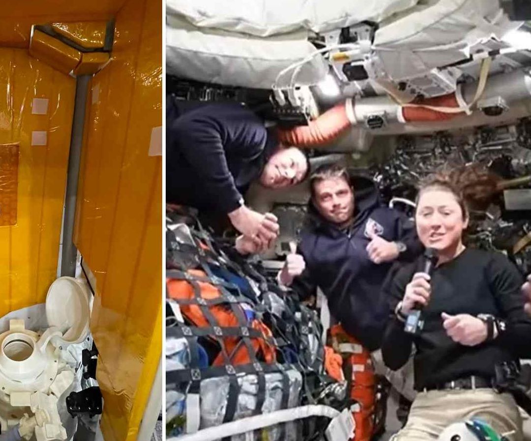 Astronautas Reportan Olor a Quemado en el Inodoro Espacial. Foto: NASA