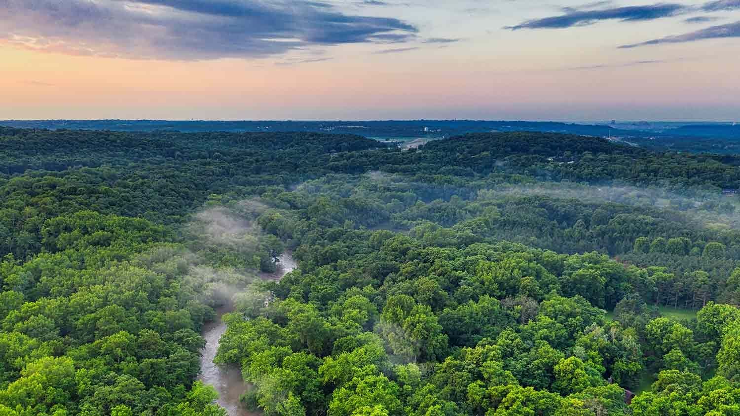 Boliviano sobrevive en la selva amazónica durante un mes