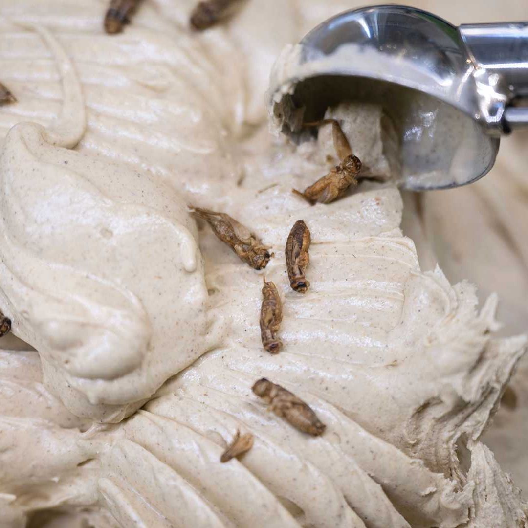 Helado con grillos de la heladería Eiscafé Rino, en Rottenburg am Neckar, Alemania
