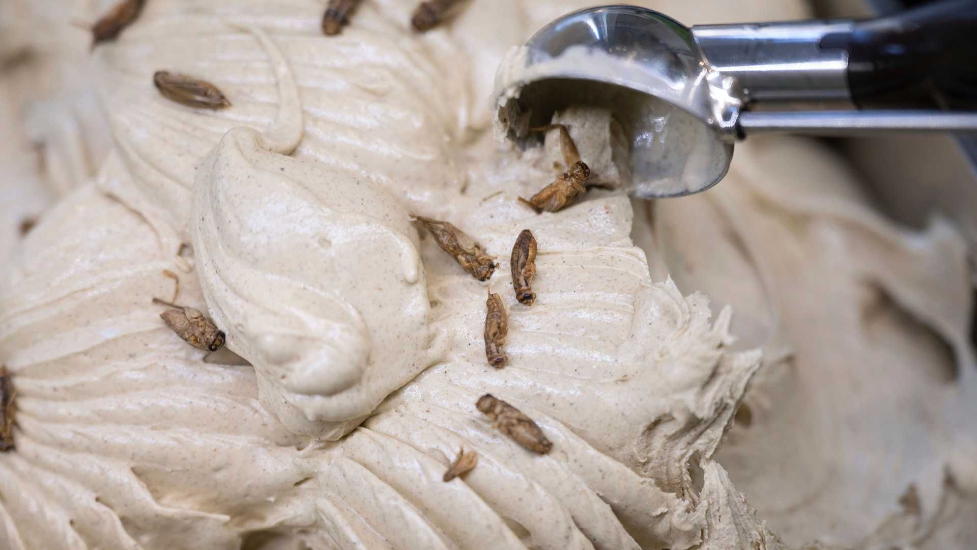Helado con grillos de la heladería Eiscafé Rino, en Rottenburg am Neckar, Alemania