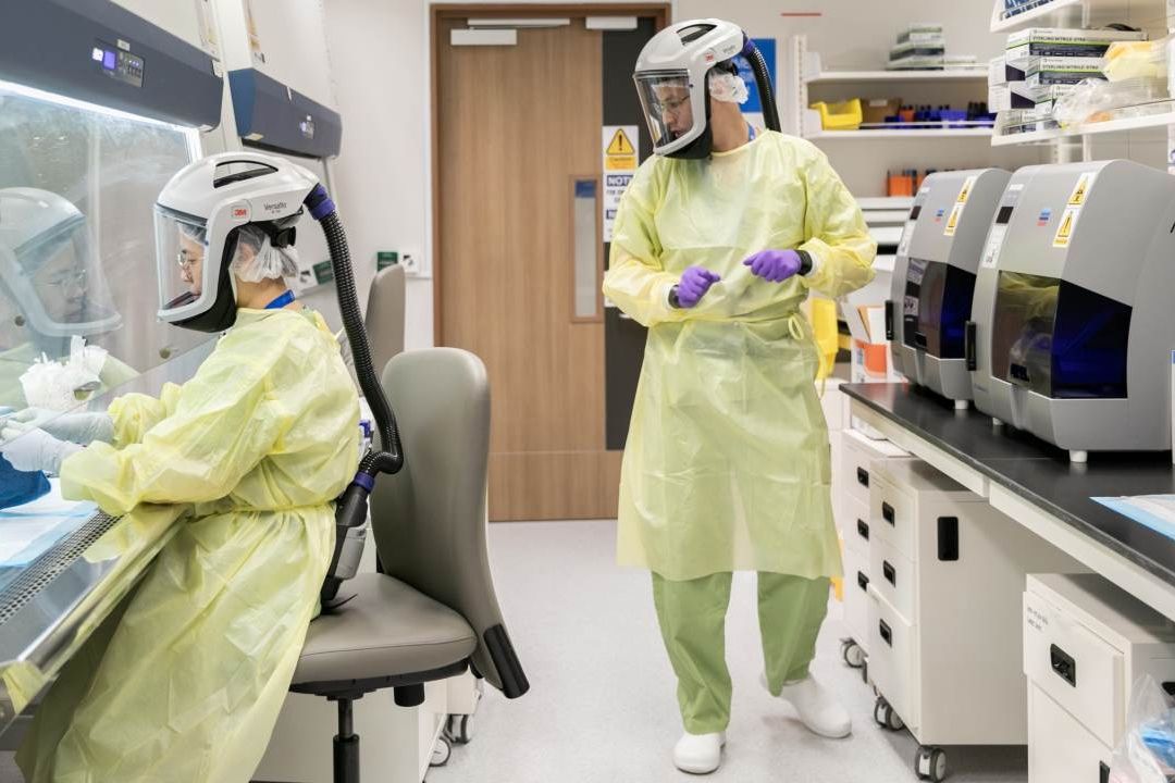 La OMS cambió de estatus de riesgo variantes del coronavirus que causa la covid