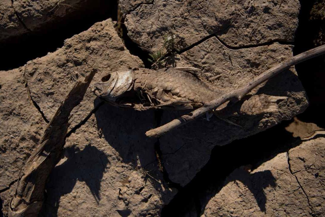 Inundaciones y sequías más severas a nivel mundial, así como "picos importantes" de calor en los próximos seis meses