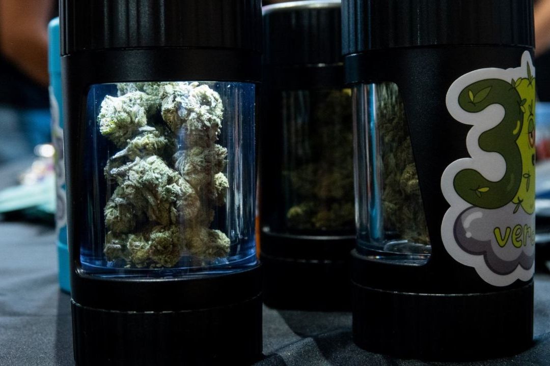 Uso lúdico legal de marihuana en California afectó a productores del Triángulo Esmeralda