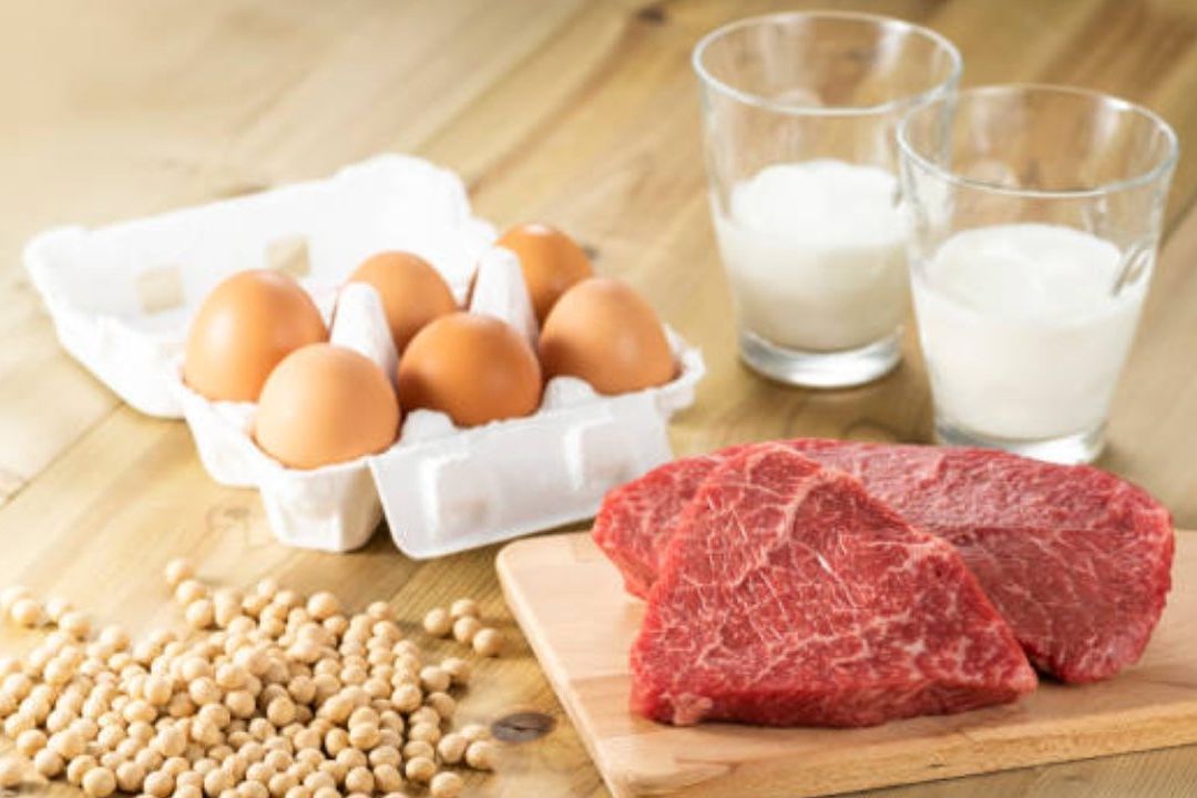 Carne, huevos y leche son esenciales en dieta sana: FAO