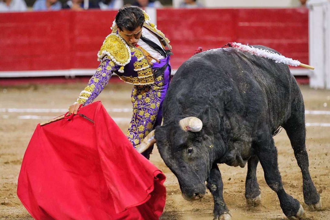 Toro Embiste a ‘Joselito’ Adame; Lo Reportan Grave