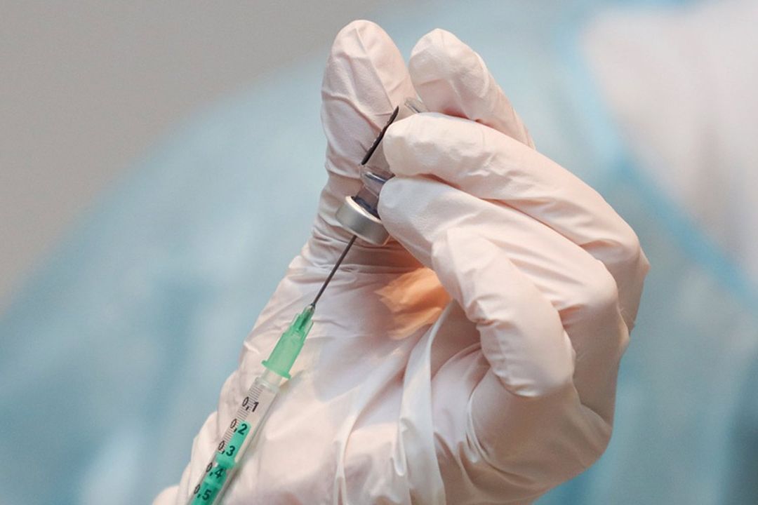 Vacuna Experimental Muestra Resultados Prometedores contra el Cáncer de Páncreas