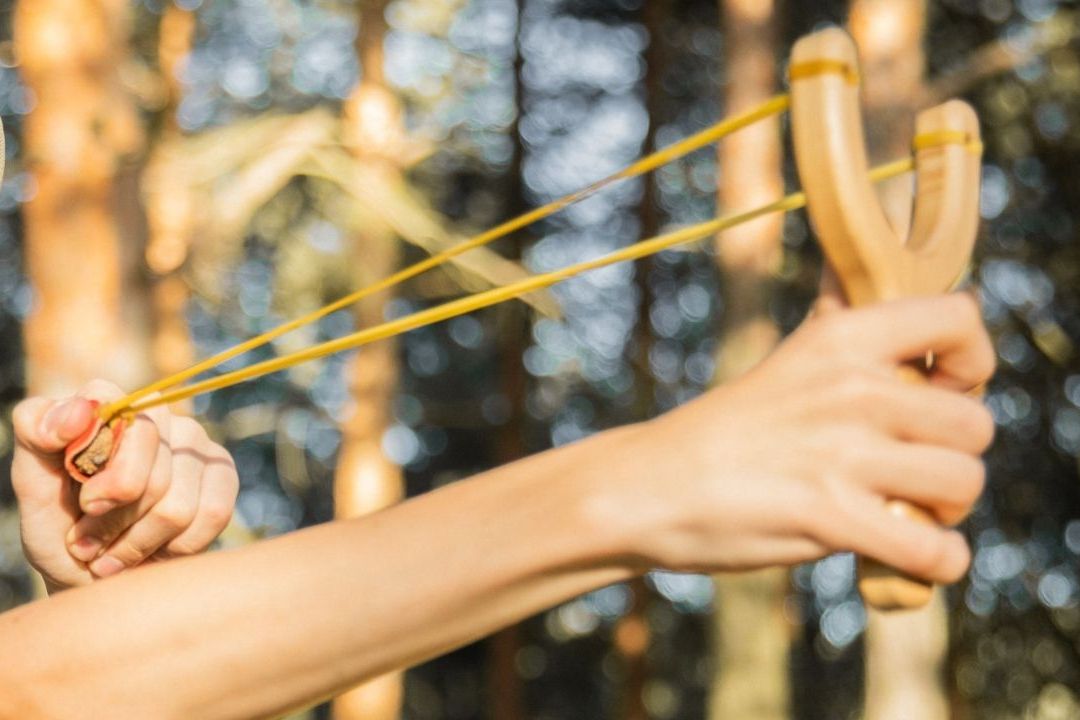 Adolescente usa resortera para evitar el secuestro de su hermanita en Estados Unidos