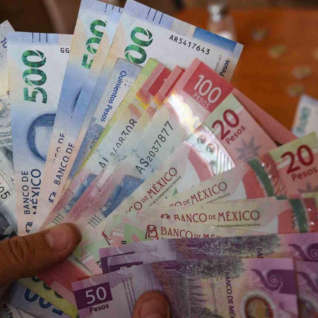 Una persona sostiene billetes de diferentes denominaciones en su mano, posiblemete tras recibir sus utilidades
