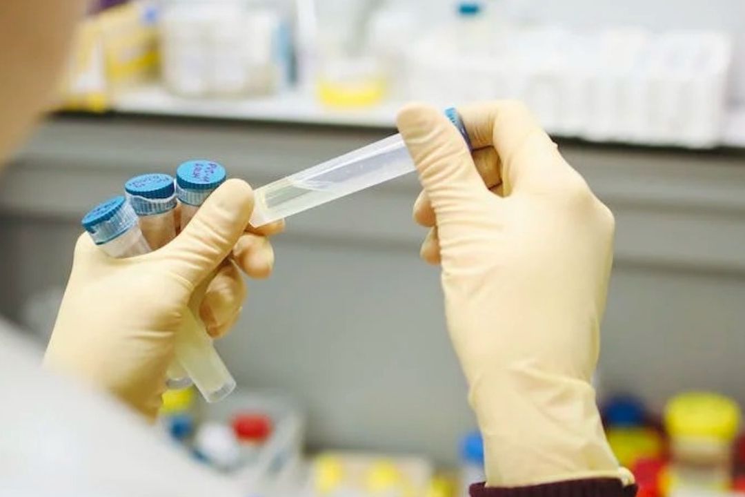 Moderna y Merck MSD Desarrollan Vacuna Contra el Cáncer de Piel; Reduce Riesgo de Muerte