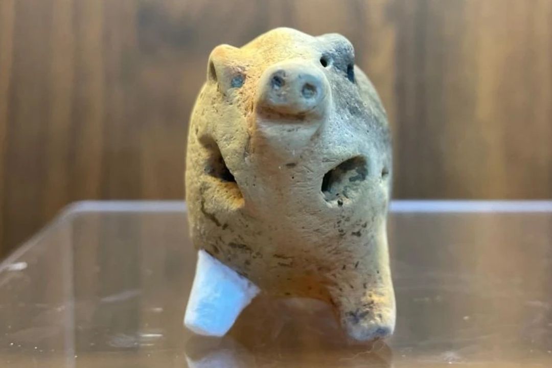Hallan Juguete de un Niño que Vivió Hace 6 Mil Años
